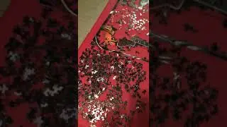 ELVIS PRESLEY PUZZLE STARTING TO COME ALIVE