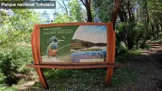 Parque nacional Tolhuaca - Regi&oacute;n de La Araucan&iacute;a Chile