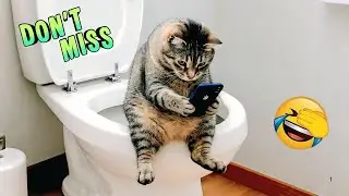 DON&rsquo;T MISS 😱🔥 | Before This Gets Deleted &ndash; Viral Pet Moments of the Year