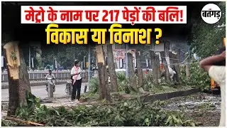 Indore News: Metro या विनाश? | Indore में 217 सालों पुराने पेड़ काटने पर भड़के लोग !