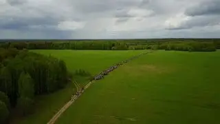 Believers take part in Russia's biggest annual pilgrimage