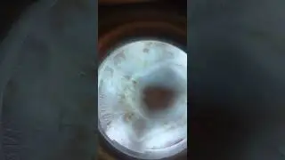 How to Use Wooden Lamp For Checking Fungal Infection #youtubeshorts #cat #pakistan #uae