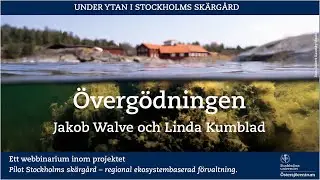 Under ytan i Stockholms sk&auml;rg&aring;rd: Tema 1 &ndash; &Ouml;verg&ouml;dning och vattenkvalitet.