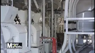 Technology Driving Efficiency In Grain Processing And Value Addition