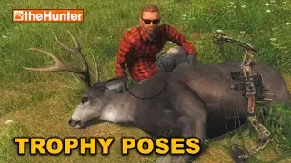 TROPHY POSES and Camera Filters - theHunter Classic
