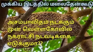 வெள்ளகோவில் நகராட்சி நடவடிக்கை தேவை. Water tank forest Honey fee .