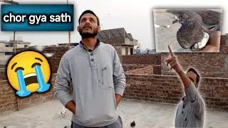 Ek or  sath Chor gya humara 😭😭😭 soo sad 😢