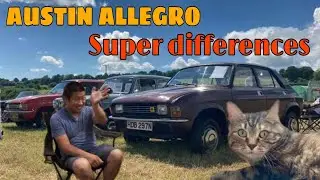 Austin Allegro - Deluxe or Super Deluxe ? that's the question ....