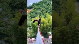 Flyboard ride 😍🥰👍 Girl just want to fly #flyboard #adventure #waterpark