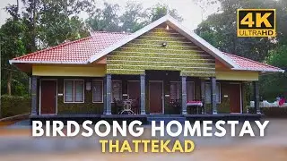 Birds song homestay | Thattekad | Wildlife stays | 4K UHD   @Wildlife.Kaptured