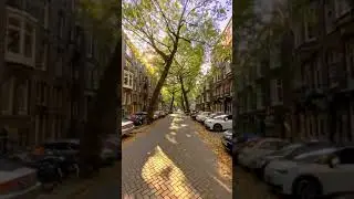 #beautiful #evergreen #streets 📍Lomanstraat Amsterdam #shorts Credits to - @photographeramsterdam