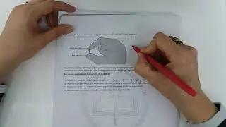 2018 ARALIK LGS MEB FEN BİLİMLERİ ÖRNEK SORU VE CEVAPLARI
