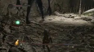 Dark Souls 2: All Boss Fights ( First to Third Attempt )
