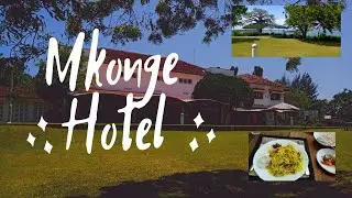 Mkonge Hotel and Raska Zone Beach