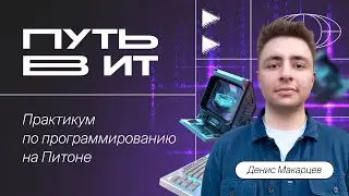 Путь в ИТ: Практикум по программированию на Python