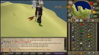NEW RSPS 2019! REVIVAL317! MAXING TIPS/GUIDE!