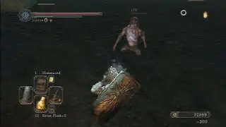 DARK SOULS 2  HUMAN EFFIGY FARMING SHRINE OF AMANA