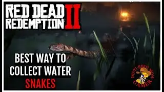 Red Dead Redemption 2*Naturalist -BEST WAY TO COLLECT WATER SNAKES