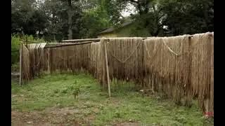 The Jute Process | Strabo International