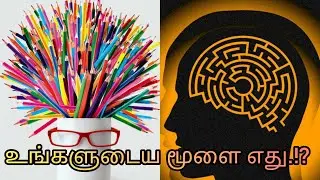 left brain vs right brain | psychology | personality test | intelligence vs creativity | உங்கள் மூளை