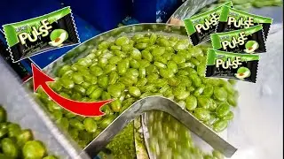 দেখুন কিভাবে তৈরী হয় (Pulse) ক্যান্ডি চকলেট ।  Pulse Candy Making Machine | Candy Making