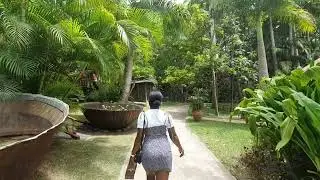 Live for the Experience is Back | Let's Take Jamaica