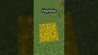 Fall Damage TEST