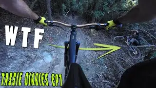 Must ride Hobart trails! TD1 | Tasmania