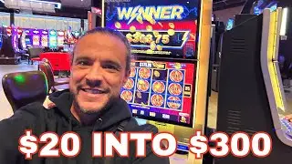 Did the New Camera Bring Better Luck? $20 to $300