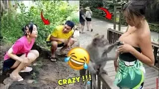 Try Not To Laugh Challenge 😂 ▶️ LEVEL 36 | Instant Regret Fails Compilation 2025