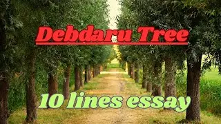 Debdaru Tree  || 10 lines essay