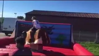 Rodeo bull hire in Wigan