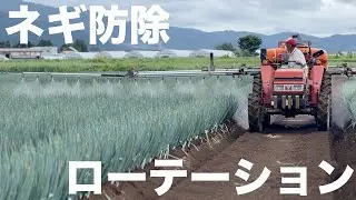 【初心者必見！】どう使い分ける！？俺流！ネギ防除ローテーション散布の考え方