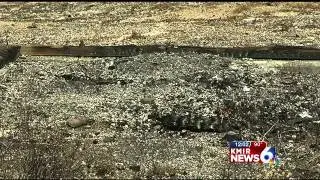 Re-enactment Video Sheds Light on Local Cold Case