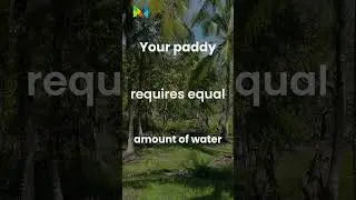 Solar Pump Setup Guide | Choosing the Right Pump | Morca