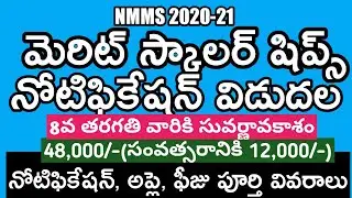 How to Apply Nmms Scholarship 2020-21 | National Means Cum Merit Scholarship | NSP Scholarship