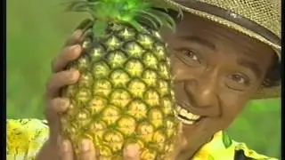 Del Monte - Del Monte Pinapple Juice 