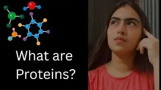 Protein Explaination in 5 minutes ✅ | BiotechExplorer |