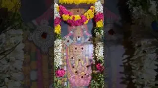 Purattasi Special Thaligai | Saturday Perumal Pooja #pooja #saturday #venkateswara #purattasimonth