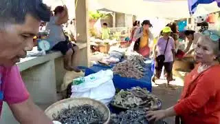 Tabo sa nabangig palanas Masbate