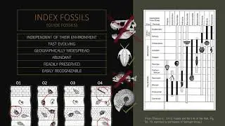 Biostratigraphy GEO132-1P
