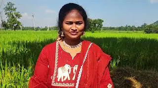 నాగుల చవితి Nagula Chavithi 2025: Serpent Blessings & Sacred Milk Rituals