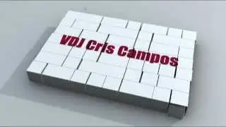 VDJ CRIS CAMPOS BOX OG Video Drop