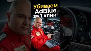Mercedes: ПРОЩАЙ, AdBlue! 🔌 Убиваем ошибку одним кликом!​