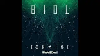 Bidl - longhead