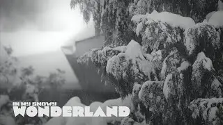 In my snowy wonderland | Mar2023 | Hamilton | Ontario | Canada | 2023Life | Snowfall #mymixediary