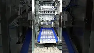 6 lanes Chicken Seasoning Packaging Machine，All In One Seasoning Granules multi-lane packing machine