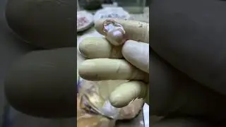 64  nature pearl unique baroque！#pearl #jewelry  #gift #naturepearl #violetpearl #baroquepearl #uniq