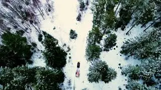 Winter Forest Sweden - DJI Mini 3 Pro