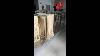 Dried Noodle Production Line installed in Panama #chowmein #chowmeinnoodles #noodlemachine